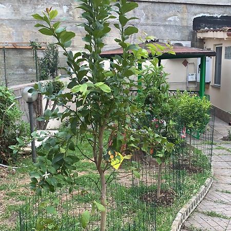 B&B Civitavecchia La Casetta Con Giardino Ngoại thất bức ảnh