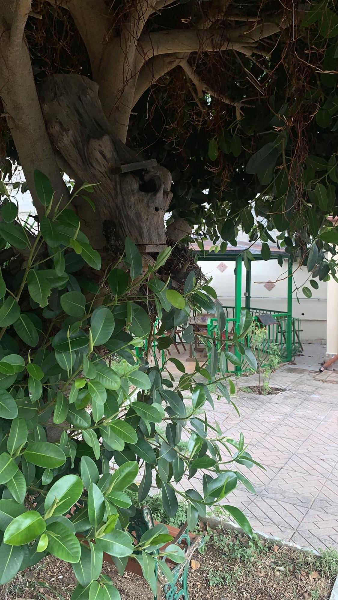 B&B Civitavecchia La Casetta Con Giardino Ngoại thất bức ảnh