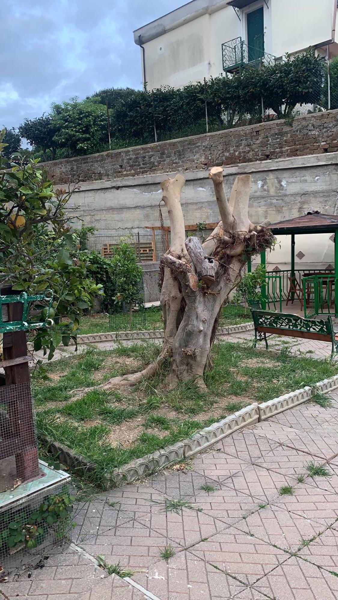 B&B Civitavecchia La Casetta Con Giardino Ngoại thất bức ảnh